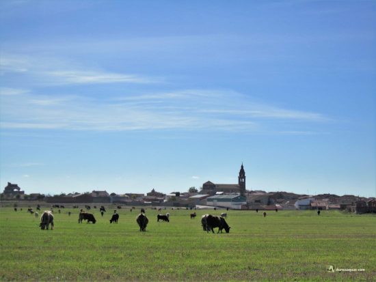 Torrecilla de la Orden, Valladolid