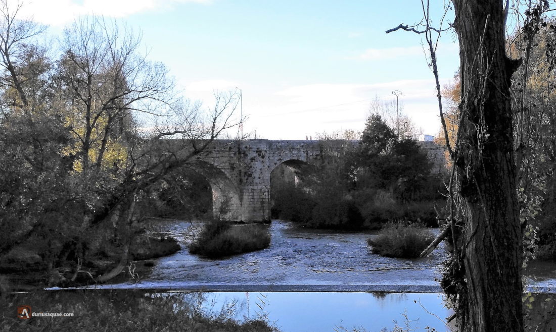 Puente renacentista entre Olivares de Duero y Quintanilla de Onésimo, desde la Fuente de la Aceña
