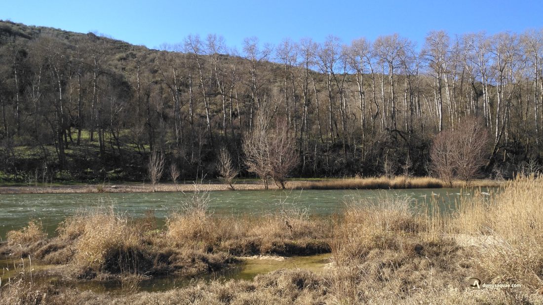 Ribera del Duero en los Infiernos, Almaraz de Duero