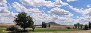 Teso del Viso, Madridanos