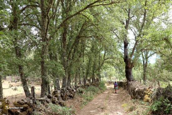 Durius Aquae: Caminos por el Rebollar, Navasfrías