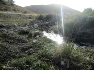 Las Madres nacedero arroyo Botijas