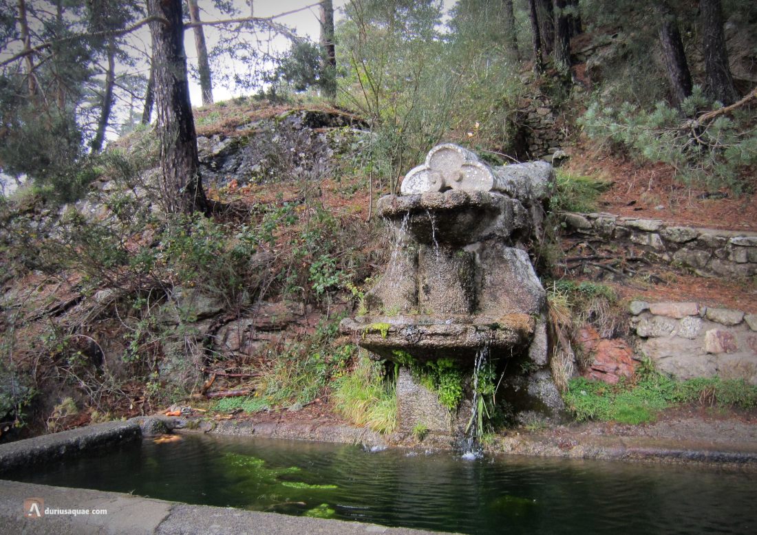 Fuente de la Cantina, Valle de Valsaín