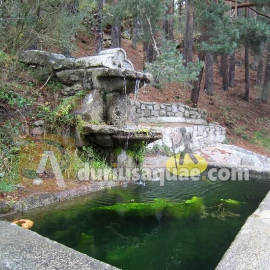 Fuente de la Cantina