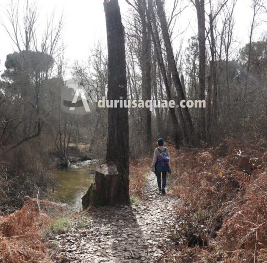 Senda de los Pescadores, junto al Cega