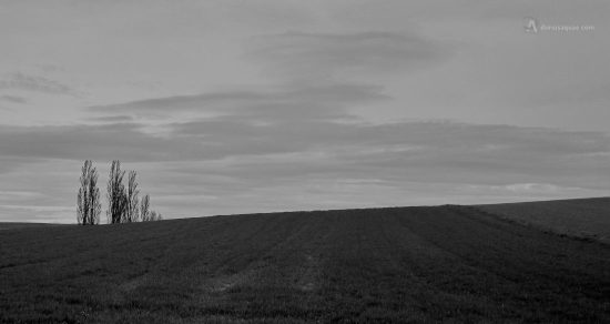 Campos de Abastas. Tierra de Campos