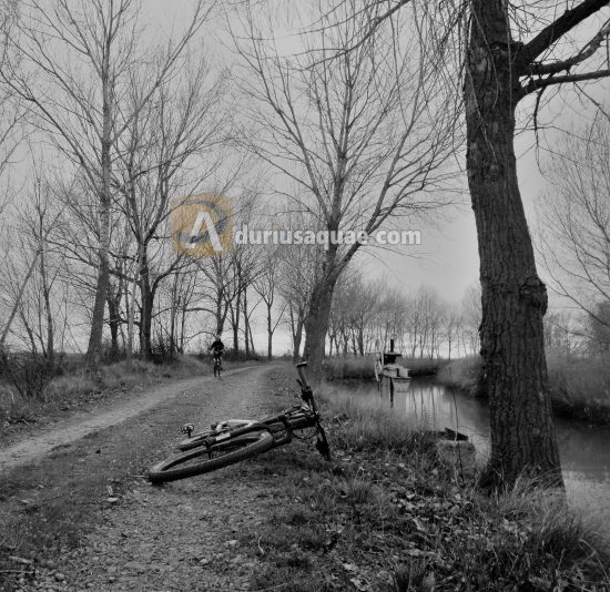 Canal de Castilla en Tierra de Campos