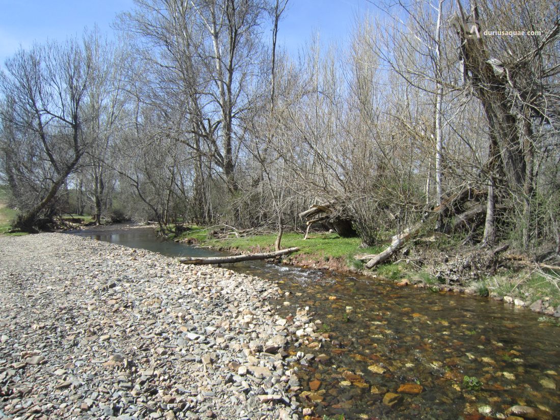 Río Villacortilla en Segovia