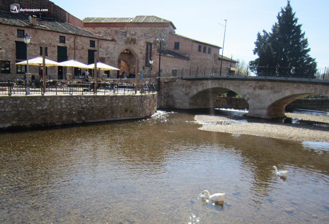 Río Aguisejo a su paso por Ayllón. Segovia