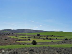 El valle del río Pedro, Ligos, Soria