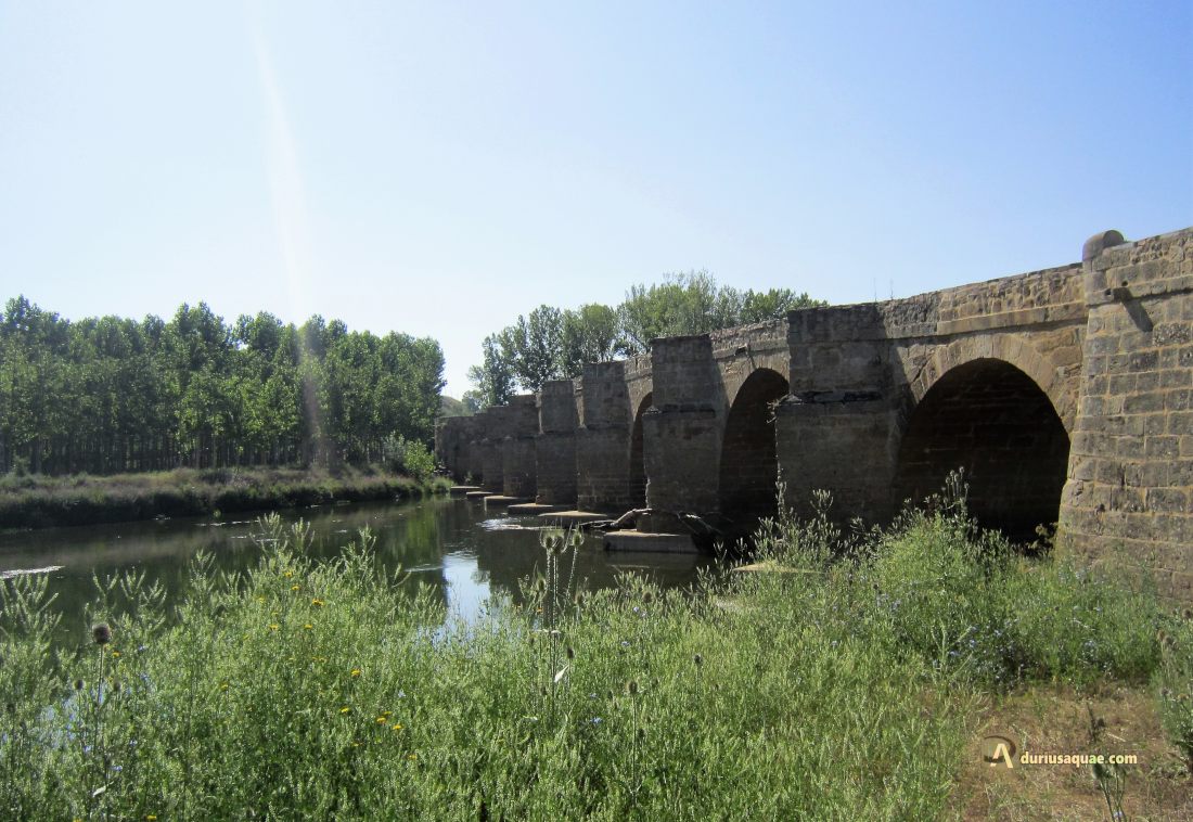 Puente medieval sobre el Esla en Castrogonzalo