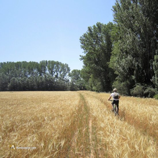Ribera del río Cubillo en Zael