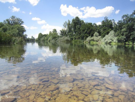 Río Órbigo en Manganeses de la Polvorosa