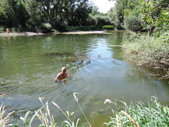 Chapuzón en el Esla