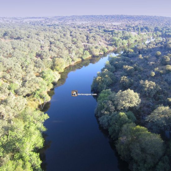 Yeltes bajo el puente de hierro del ferrocarril en Villares de Yeltes