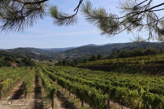 Valle del Támega. Al fondo El Marão . Amarante, Portugal