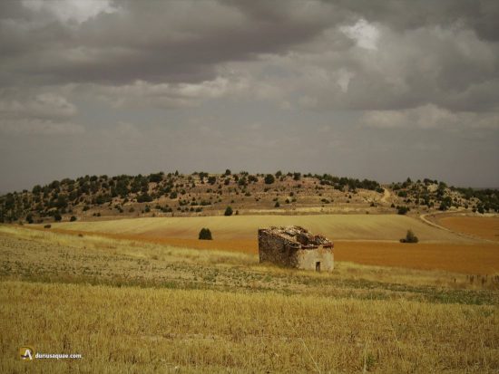 Palomar en Valdevacas