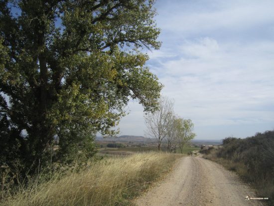 Hacia Pedrosa de Duero. Burgos