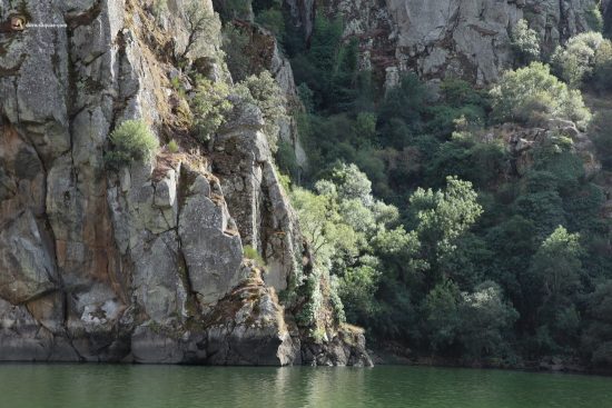 Farallones en los Arribes. Zamora