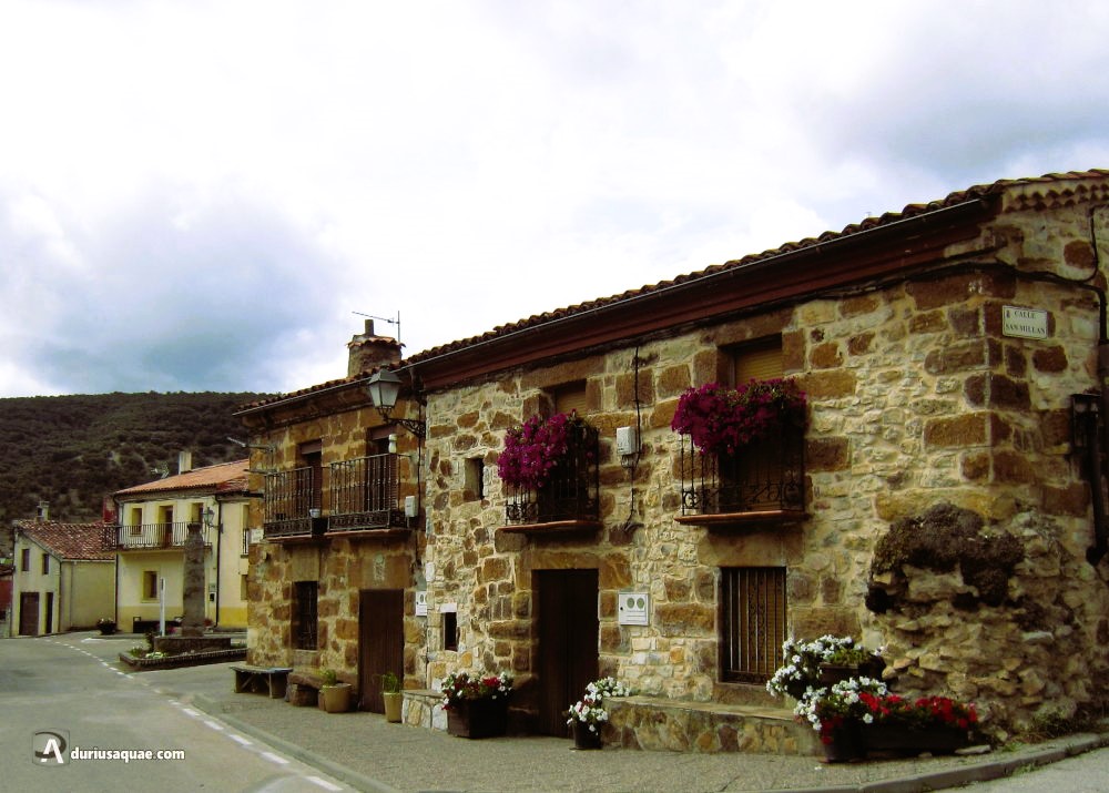 Calle de Cabrejas del Pinar. Soria
