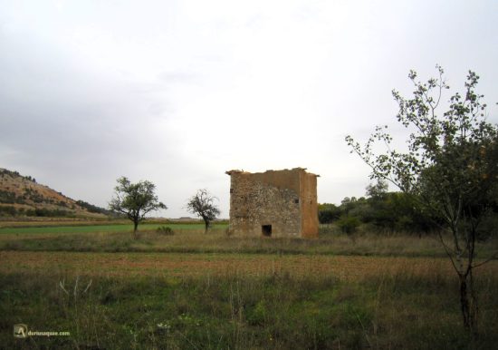 Palomar junto al Duero