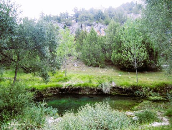 Río Abión. Muriel de la Fuente