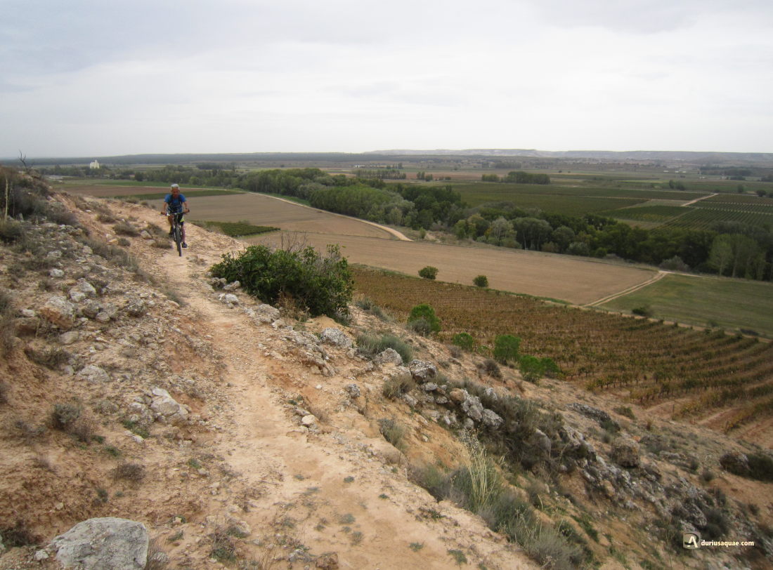 Valle del Duero en San Martín de Rubiales. Burgos