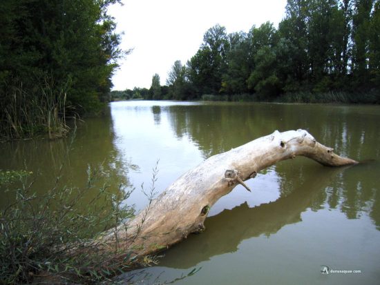 San Martín de Rubiales