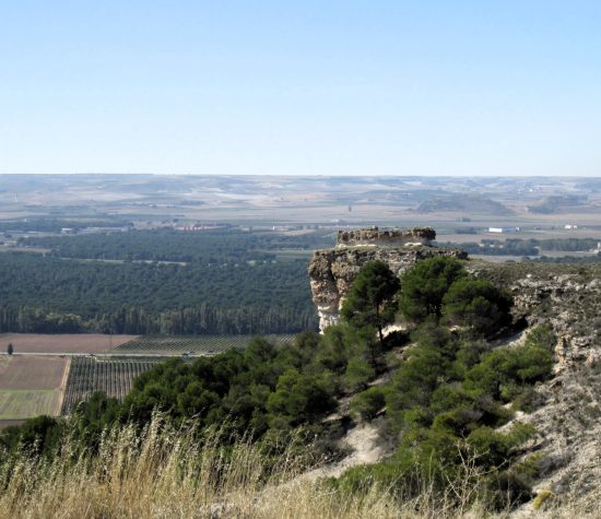 Curiel de Duero - La Cuchilla