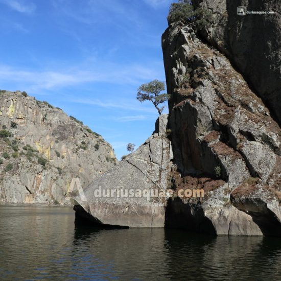 Arribes del Duero. Zamora