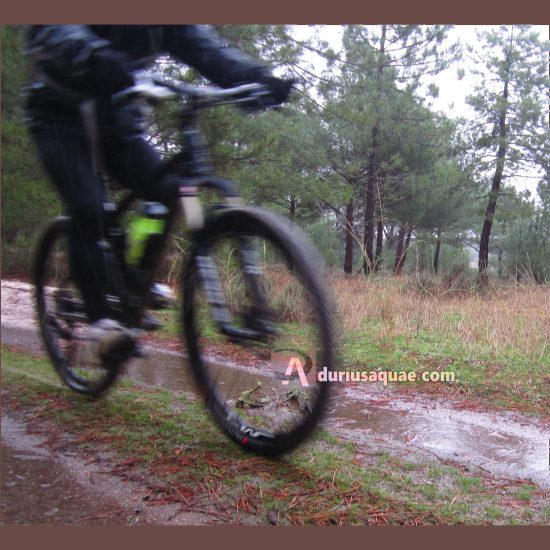 Cruzando por los pinares de la Moraña bajo la tormenta