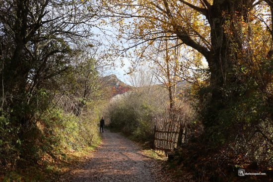 Faedo de Ciñera, camino de acceso