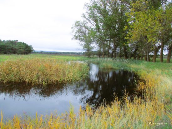 Laguna de los Navazos. Fuenterrebollo. Hoces del Duratón