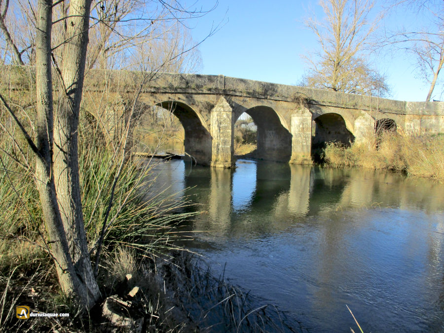 Puente de Castrillo de Villavega. Palencia