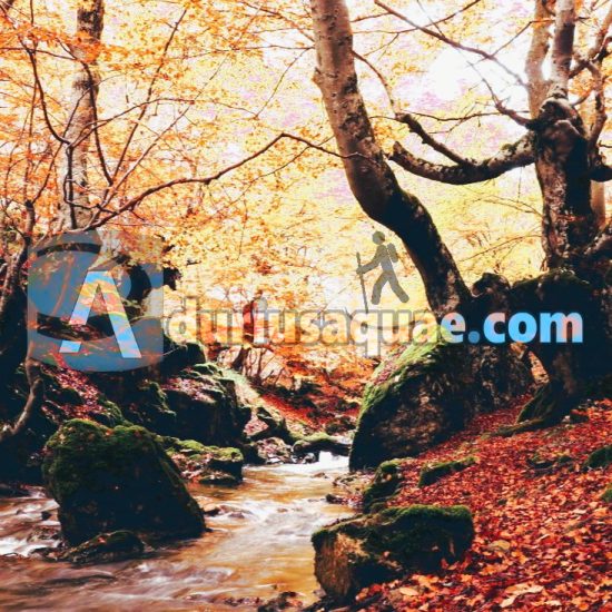 Portada Faedo de Ciñera