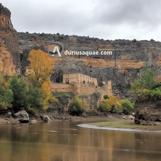 Hoces del Duratón. Segovia