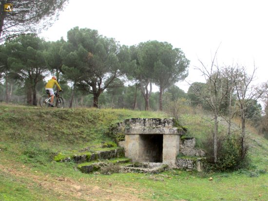 Fuente del Obispo, junto al arroyo Adalia. Toro