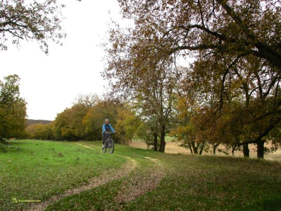 Terradillos de Esgueva