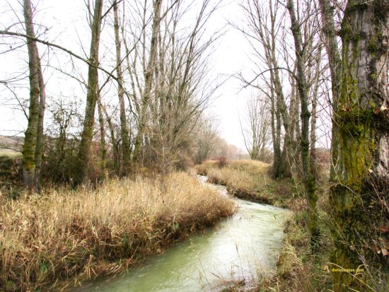 Río Esgueva en invierno