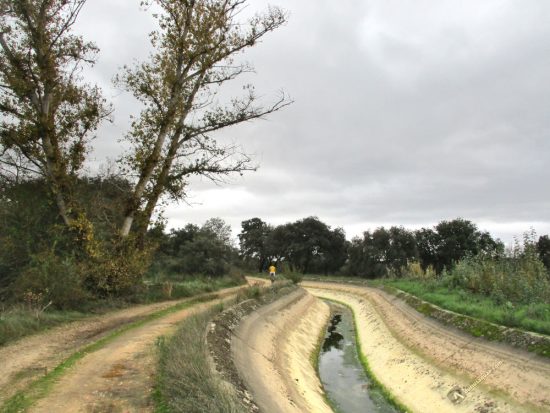 Canal Toro Zamora en Monte de la Reina