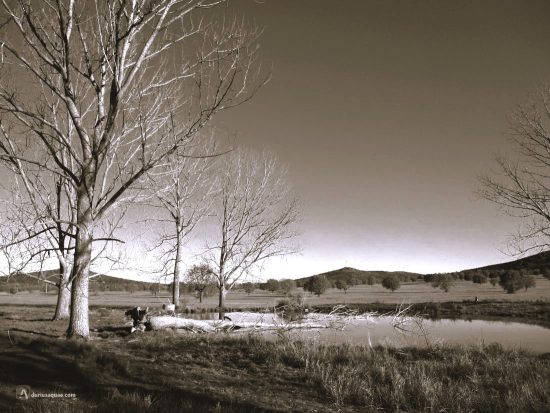 Laguna Vieja. Tábara. Zamora