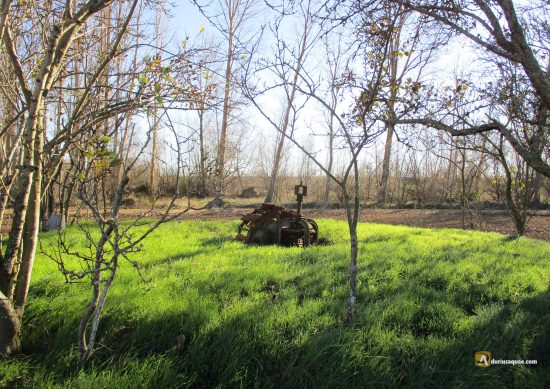 Villanuño de Valdavia. Noria en la vega