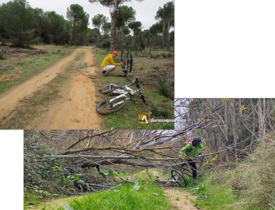 Pequeñas aventuras en bicicleta. Monte de la Reina. Toro