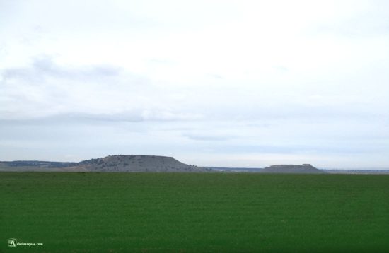 Campos de Amatos de Alba. Salamanca