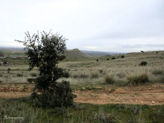 Carpio Bernardo. Peña de la Traición. Salamanca