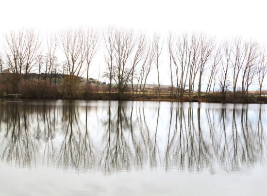 Reflejos en el Tormes. Villagonzalo de Tormes. Salamanca