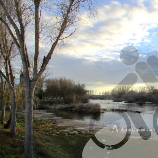 Portada entrada Bernardo del Carpio . Río Tormes