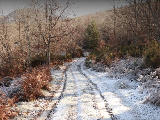 Escarcha sobre el camino