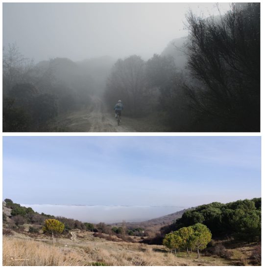 Traspasando la niebla en Tudela de Duero