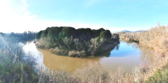 Meandro en el Duero. Tudela de Duero